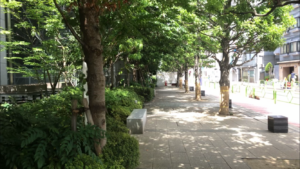 ライオンズタワー月島