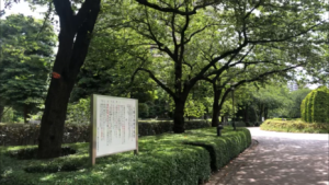 シティフロントタワー