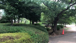 センチュリーパークタワー