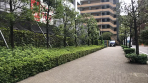 ザ・クレストタワー