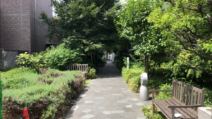 ライオンズタワー月島