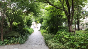ライオンズタワー月島