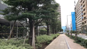 勝どきザ・タワー