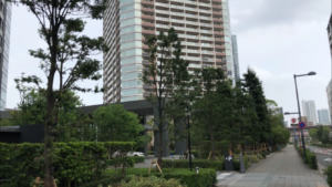 ザ・豊洲タワー