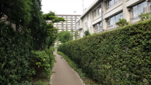 ザ・豊洲タワー