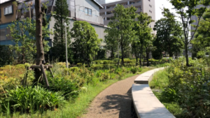 ザ湾岸タワーレックスガーデン