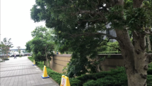 WコンフォートタワーズEAST