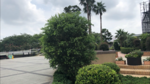 WコンフォートタワーズEAST